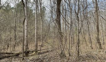 592 Hubberd Town Rd, Beech Bluff, TN 38313