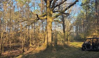 U.S. Highway 51, Bogue Chitto, MS 39629