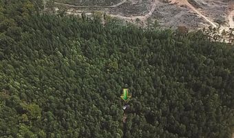 18 62 Ac Squirrell Hollow Rd, Alberta, VA 23821