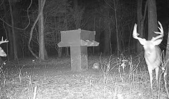 Bolivar Road, Benoit, MS 38725