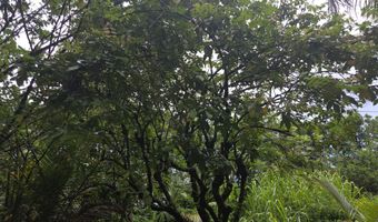 15-1788 8TH Ave, Keaau, HI 96749