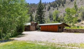 209 Deer Path Ln, Almont, CO 81230