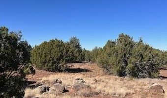 44 County Road 8114, Concho, AZ 85924