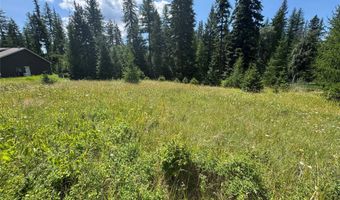 13643 Sundance Trl, Bigfork, MT 59911
