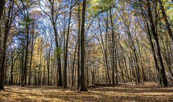 Lot 33 S Badger Lane, Arkdale, WI 54613