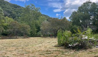 225 Lynfield Pl, Artie, WV 25008