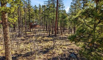 12 W Pergatory Dr, Alpine, AZ 85920