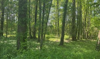 0001 Old Highway 471, Brandon, MS 39042