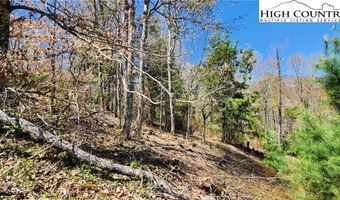 31 32 Running Bear Cir, Banner Elk, NC 28604