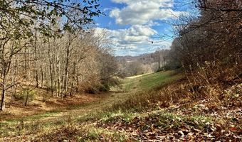 1520 Brittontown Rd, Afton, TN 37616