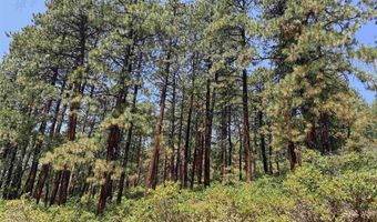 TBD Unit 3 Forest Lakes, Bayfield, CO 81122