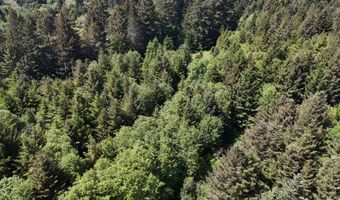 20452 Whaleshead Rd, Brookings, OR 97415