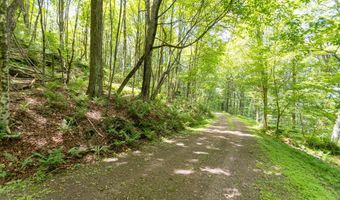 Timberland Drive, Andes, NY 13731