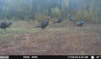 Hwy 9, Bruce, MS 38915