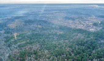 241 Foskey Cemetary Rd, Adrian, GA 31002