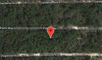 117 PALM Way, Georgetown, FL 32139