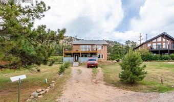 73 Sunlight Ln, Bailey, CO 80421