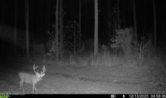 425 Rose Hill Rd, Bentonia, MS 39040