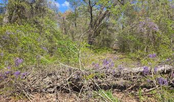 NEWASA LANE, Accokeek, MD 20607