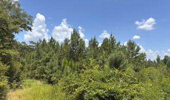0 CR-215, Ariton, AL 36311