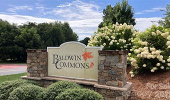 1017 Baldwin Commons Dr, Arden, NC 28704