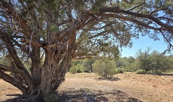 2 E Raney Rd, Ash Fork, AZ 86320