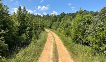 0 Ellis Jones Rd, Bienville, LA 71008