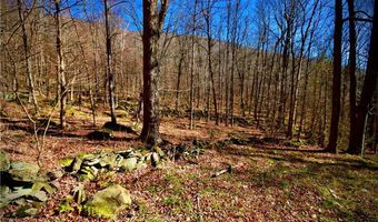 339 Mountain Lake Rd, Andes, NY 13731