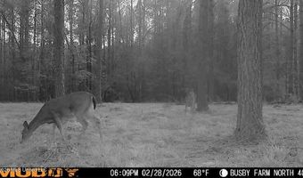 U.S. Highway 51, Bogue Chitto, MS 39629