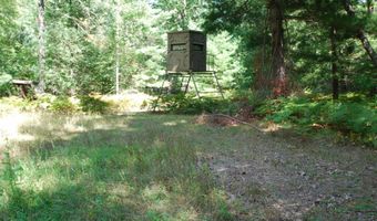 2782 River Rdg, Alger, MI 48610