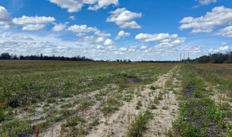 15 Acres Antioch Church Rd, Ashford, AL 36312