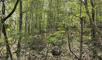 State Hwy N Tract G, Ava, MO 65608