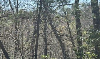 000 Holland Farm Rd, Andrews, NC 28901