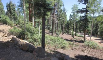 Taos Drive lot 208, Angel Fire, NM 87710