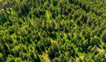 25 Starview Dr, Bigfork, MT 59911