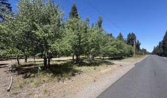 55869 Black Duck Rd, Bend, OR 97707