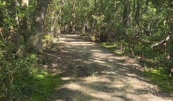 247 Horseshoe Trl, Barnwell, SC 29812