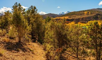 422 Sopris Creek Rd, Basalt, CO 81621