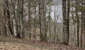 13 31 AC Austin Ridge Rd, Baxter, TN 38544