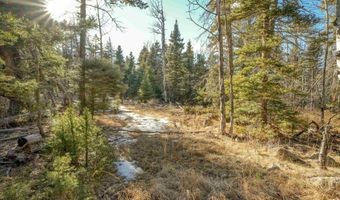 1004 And 1005 El Camino Real, Angel Fire, NM 87710