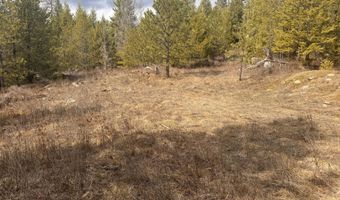 NKA E Lowland Drive, Athol, ID 83801