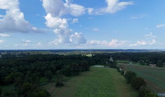 26 4 Acres Brashiers Chapel Rd, Arab, AL 35016