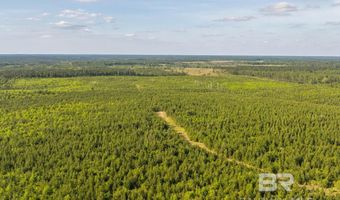 Flowers Road, Bay Minette, AL 36507