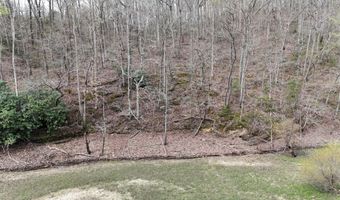 Bayside Boulevard lot 48, Bean Station, TN 37708