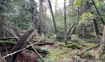 TBD Cable Lake, Amasa, MI 49903
