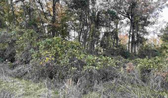 3551 Moonlight Rd, Barnwell, SC 29853