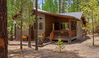 2 County Road 2069, Alpine, AZ 85920