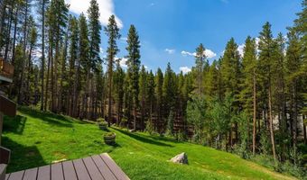 463 Blue Flag Cir, Breckenridge, CO 80424