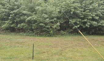 VL Weeks Street, Allegan, MI 49010