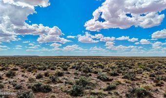 Co Rd N7012 40 Acres, Chambers, AZ 86502